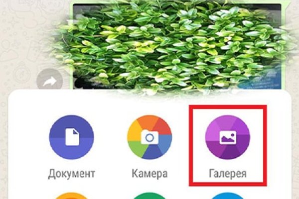 Кракен сайт официальный kraken clear com
