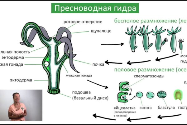 Кракен маркетплейс магазин
